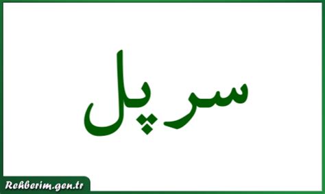 serpil arapça yazılışı